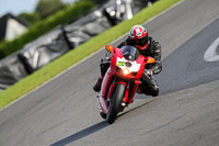 PJ-Motorsport-2019;donington-no-limits-trackday;donington-park-photographs;donington-trackday-photographs;no-limits-trackdays;peter-wileman-photography;trackday-digital-images;trackday-photos